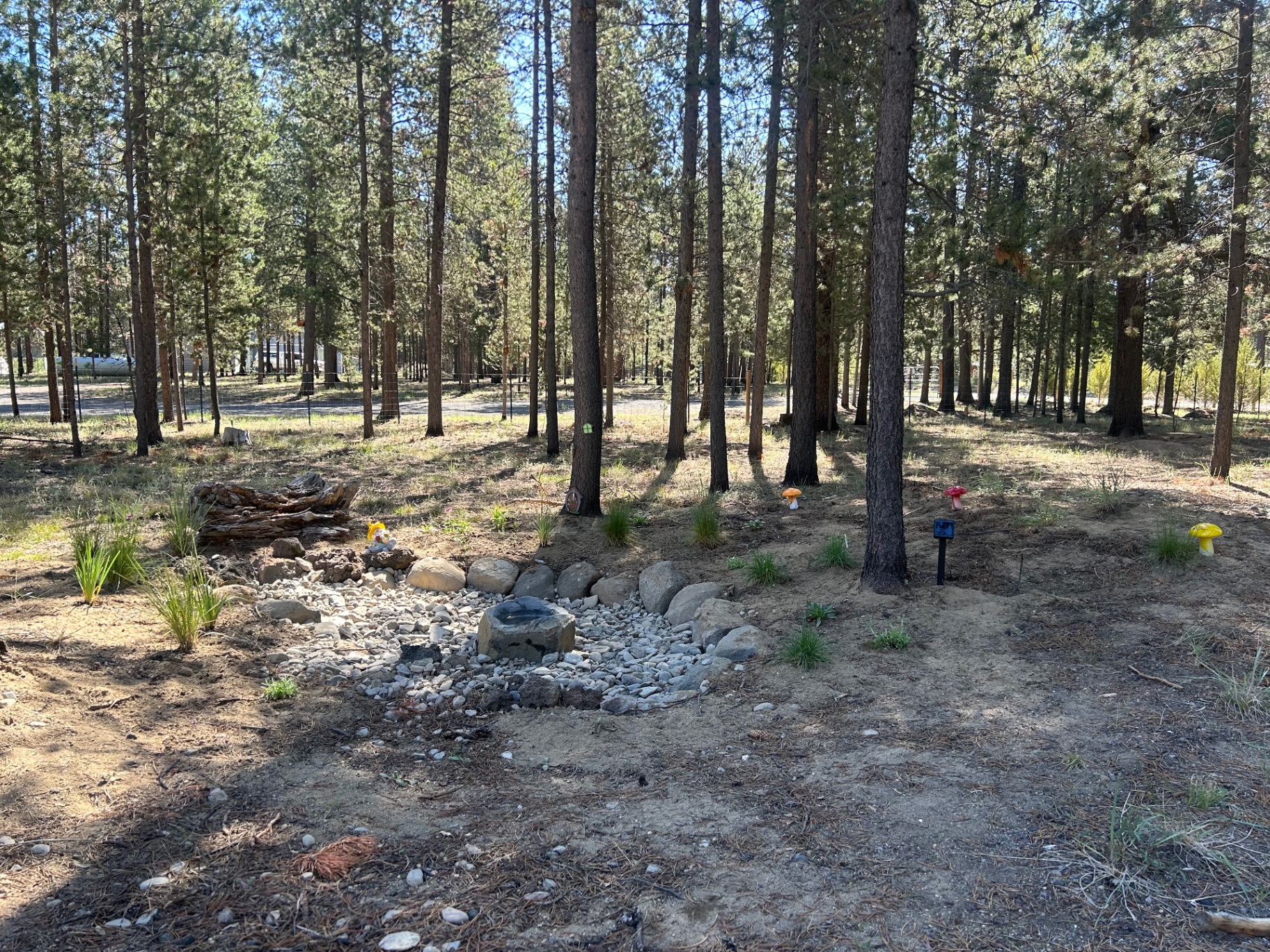 A rock-lined infiltration basin and dry creek bed built through an open pine forest