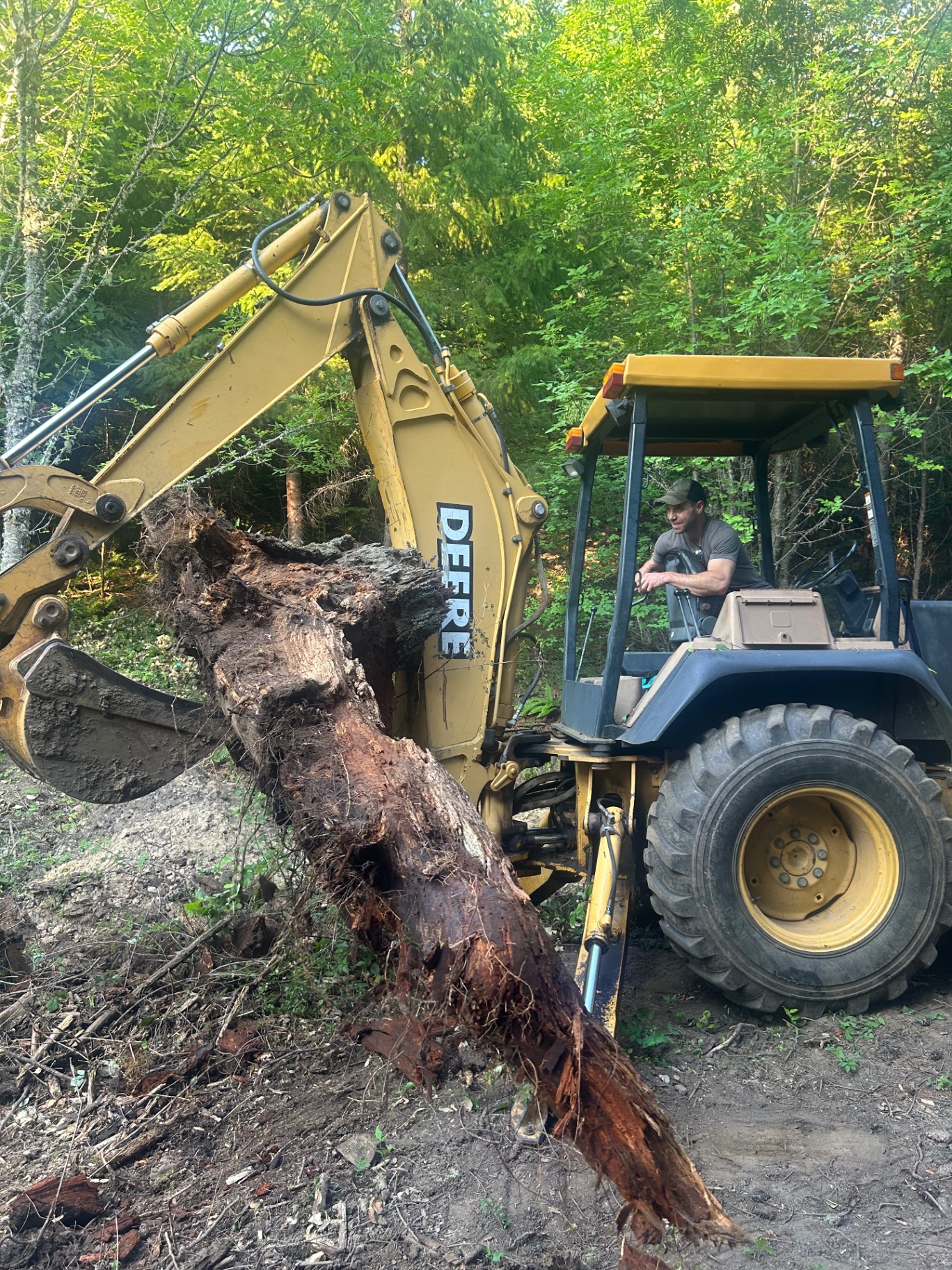 A backhoe lifting a large stump and root wad out of the ground at a wooded job site
